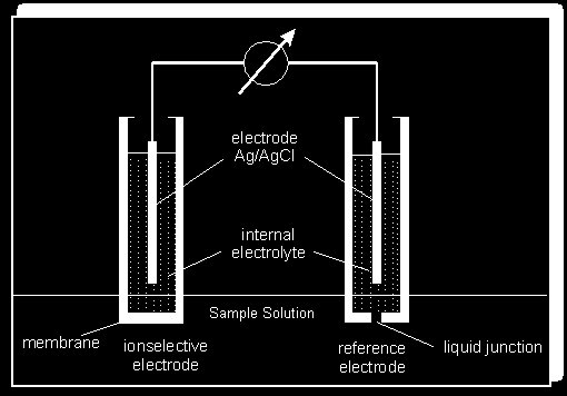 ISE membrane diagram